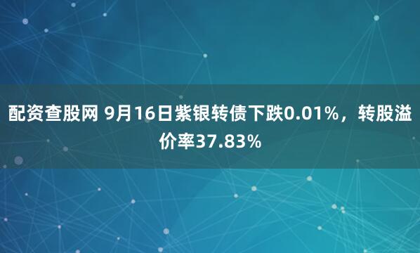 配资查股网 9月16日紫银转债下跌0.01%，转股溢价率37.83%