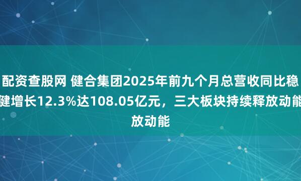 配资查股网 健合集团2025年前九个月总营收同比稳健增长12.3%达108.05亿元，三大板块持续释放动能